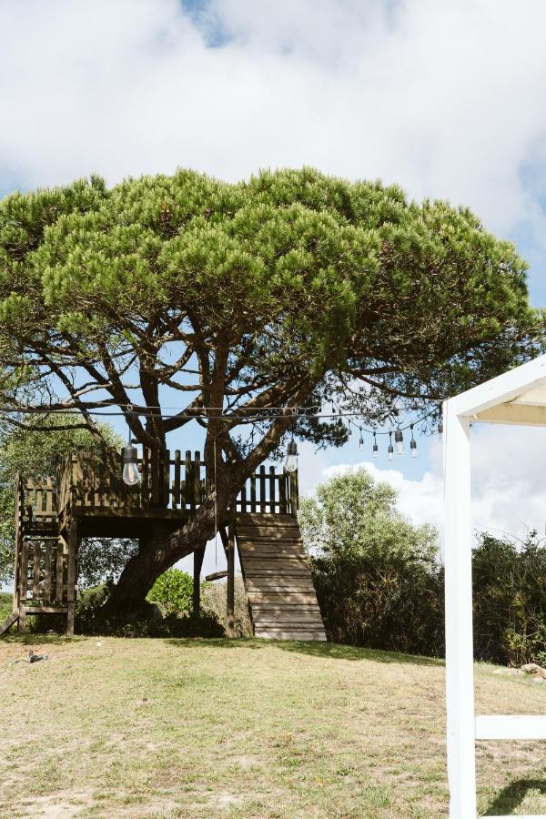 Bed & Breakfast Dreamsea Surf Gouveia (Lisbon)